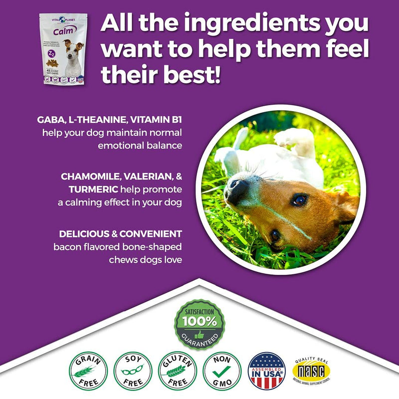 Vital Planet - Calm Soft Chews for Dogs, Promotes Calmness in Stressful Situations with GABA and Natural Herbs - 45 Natural Bacon Flavored Soft Chews - BeesActive Australia