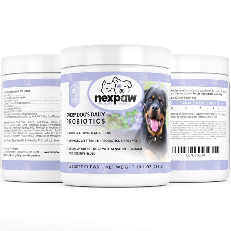 Probiotics for Dogs - Relief Diarrhea, Gas, Bloating, Constipation, Upset Stomach - Digestive Health Support - Soft Chews for Dog & Puppies - BeesActive Australia