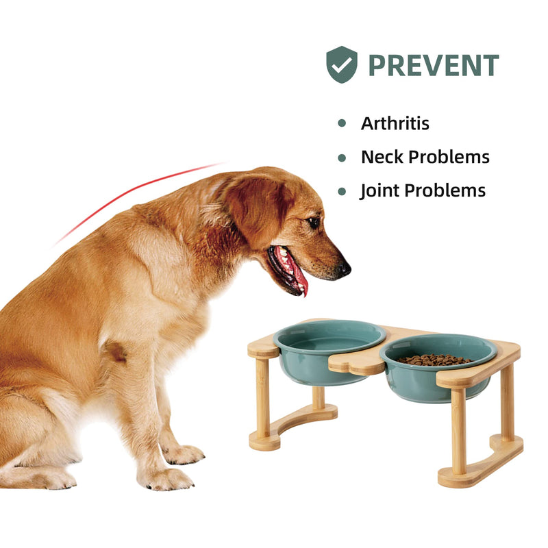Havniva Ceramics Raised Dog Bowl with Non-Slip Stand Elevated Dog Bowl for Medium and Large Dog Food and Water Bowl Dog Dish Pet Feeding Bowl Medium - 6.9" Double - Dark Green - BeesActive Australia