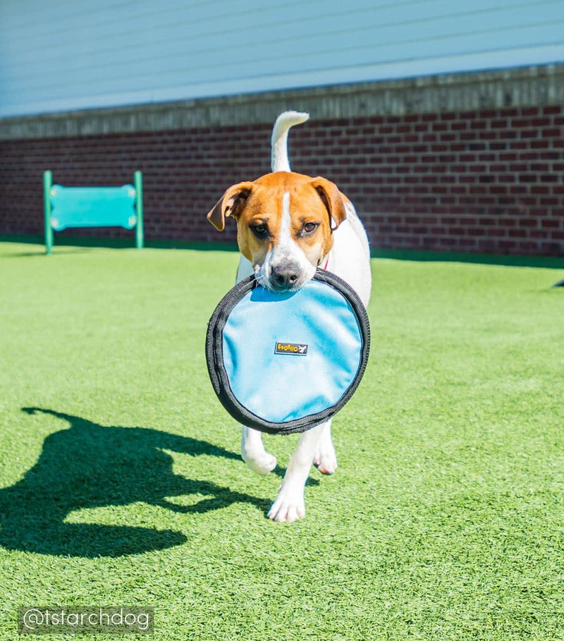 OllyDog Flyer Disc, Dog Frisbee, Lightweight and Floating, Dog Toys Interactive, Dog Stuff, Gentle on Teeth and Gums Pink - BeesActive Australia