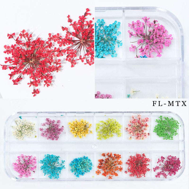 3 Pack/36 Different Shape Colors Natural Real Dried Flowers Nail Art Decoration Sticker for 3D Nail Art Acrylic UV Gel Tips 3 Pack (Style 1) - BeesActive Australia