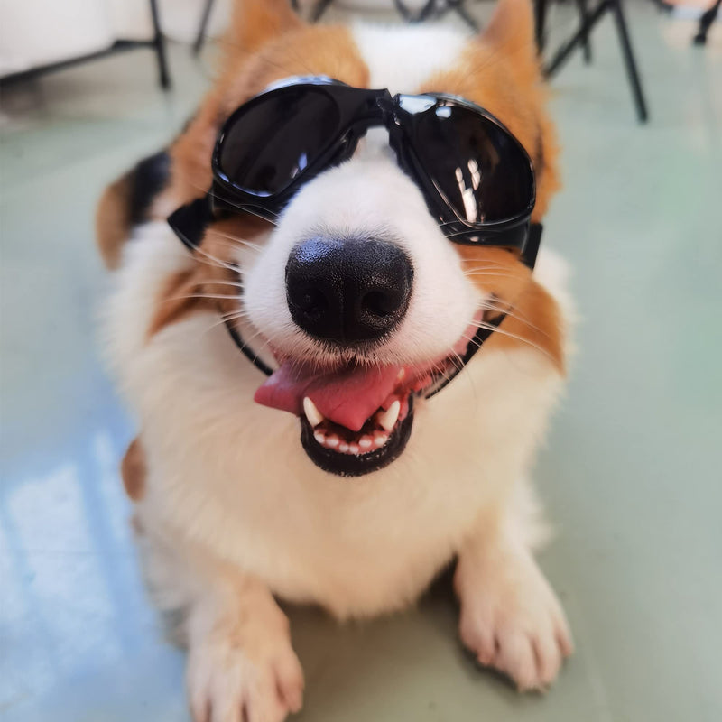 Small Dog Goggles Sun' UV Protection Puppy Goggles Windproof Small Pet Sunglasses for Eyes Protection Black - BeesActive Australia