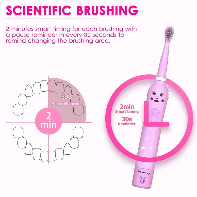 Kids Sonic Electric Toothbrush, Rechargeable Smart Toothbrush for Children, Toothbrush for Toddlers Boys Girls Age 3-12 with 30s Reminder, 2 Mins Timer, 6 Modes, 6 Brush Heads, Wall-Mounted Holder 8650 Pink+ 6 Heads+ Holder - BeesActive Australia