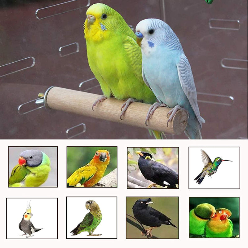 Tfwadmx Parakeet Perch Bird Stand Toy Natural Wood Platform Grinding Nail Cage Accessories for Small Birds Cockatiels Lovebirds Budgie Parrots 8 PCS - BeesActive Australia