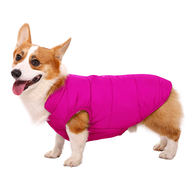 ASENKU Windproof Dog Winter Coat Waterproof Dog Jacket Warm Dog Vest Cold Weather Pet Apparel with 2 Layers Fleece Lined for Small Medium Large Dogs S: Chest 11.8-15", Length 10.6" Pink - BeesActive Australia