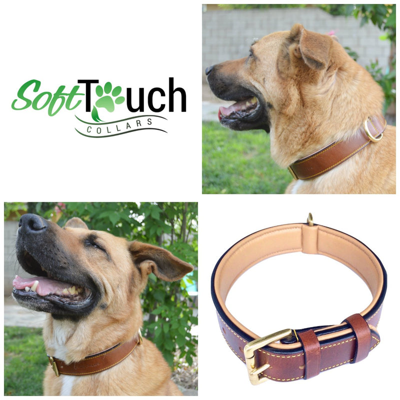 Soft Touch Collars - Luxury Real Leather Padded Dog Collar Large Brown - BeesActive Australia