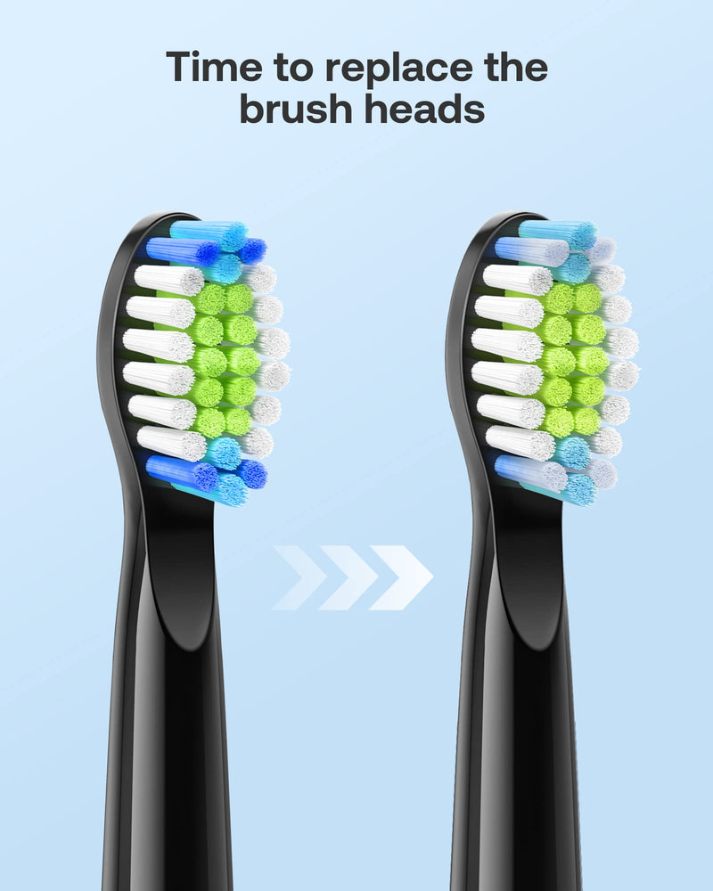 Bitvae Electric Toothbrushes 2 Pack Sonic Toothbrush with Holders, Dual Ultrasonic Electronic Toothbrush 8 Brush Heads 5 Modes, Rechargeable Power Toothbrush for 30 Days Using, Black & Pink - BeesActive Australia