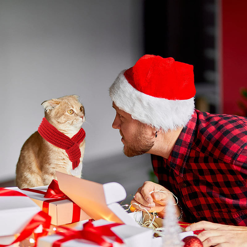 Cobee Christmas Dog Cat Santa Scarf, Dog Winter Knitted Scarf Pet Winter Neck Warmer Costume with White Pompom Ball Party Dressup Xmas Cute Decorate Gift Red Large - BeesActive Australia