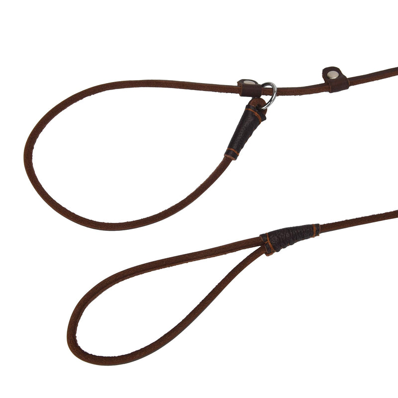 Real Leather Slip Dog Leash for Small Medium Large Dogs Puppies Lightweight Thin but Sturdy Adjustable Slip Lead Dog Leash Soft and Slim 5 ft x 1/5 inch Small( 5 ft x 1/5 inch) - BeesActive Australia