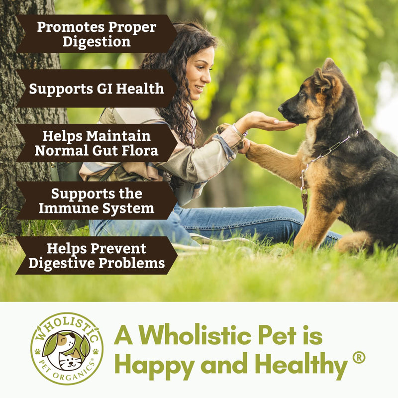 Wholistic Pet Organics:Dog Probiotics and Digestive Enzymes-Probiotic Chews for Dogs Digestive Health,Support Gut Health Immune Supplement Prevents Dog Digestive Problems-Puppy Probiotic Original 120 Count - BeesActive Australia