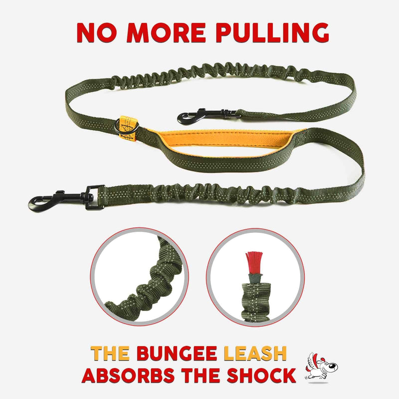 Double Dog Leash Hands-Free | Waist Dual Dog Leash for Tandem Walking & Training | 360°Swivel 2 Dog Coupler | Comfortable Shock Absorbing Reflective Bungee | No Pull Two Dog Leash Khaki & Orange Two Large Dogs (35-150 lbs each) - BeesActive Australia