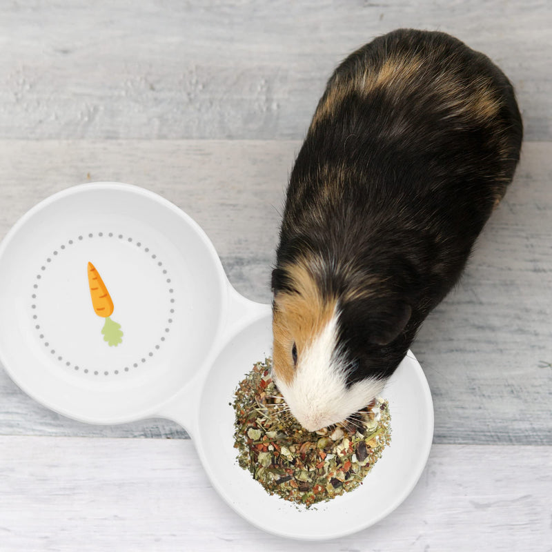 Navaris Double Food Bowl for Small Animals - Ceramic Food Bowls for Rabbits, Guinea Pigs, Small Pets - Rabbit Water Dish - Carrot and Grass Design - BeesActive Australia