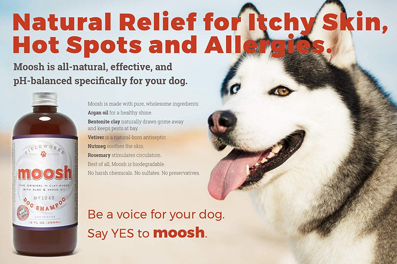 Moosh Natural Dog Shampoo – Promotes Healthy Hair, Coat and Skin. Helps Hot Spots, Dry Itchy Skin, Allergies. Pet Odor Eliminator – Grooming Shampoo. Shea Butter, Argan Oil, Aloe Vera, Bentonite Clay 1 Bottle - BeesActive Australia