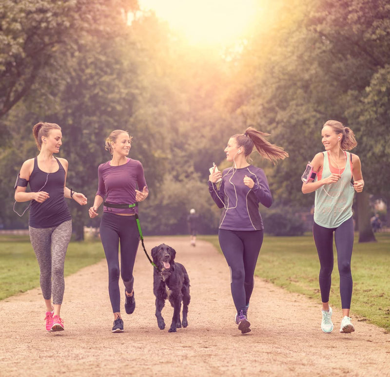 Fuzzy Friends Hands Free Dog Leash. A Great Running Leash for Dogs That Gives You Freedom to Run Together. As a Waist Dog Leash for Large Dogs, This Bungee Dog Leash is Also Reflective Green - BeesActive Australia