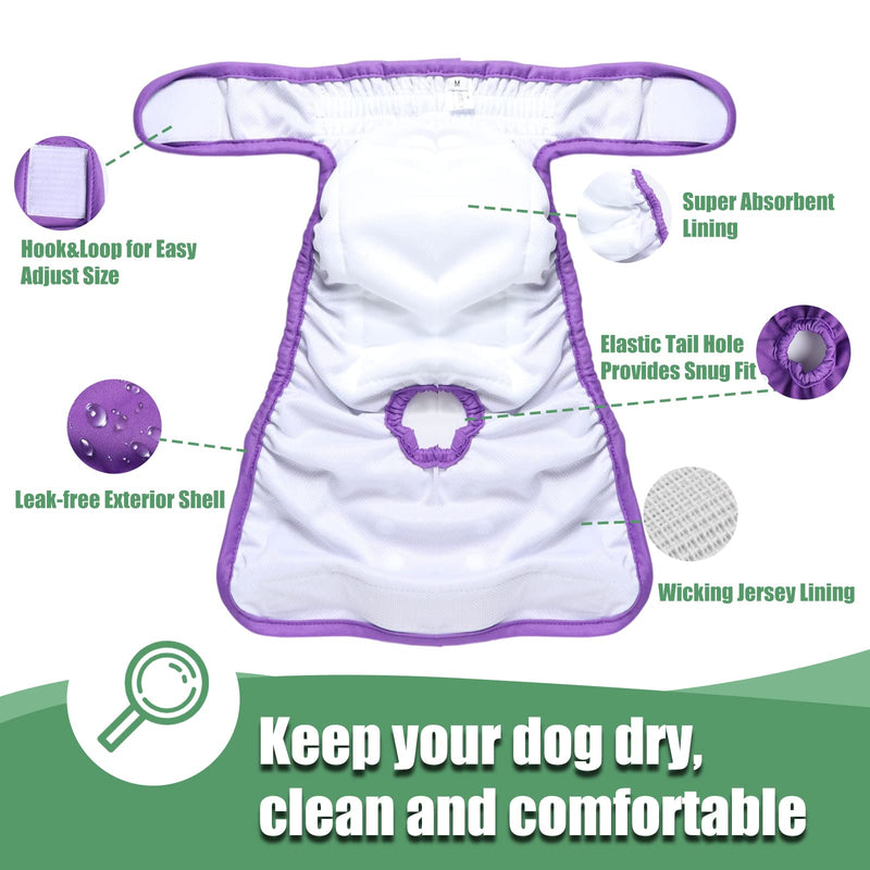 Dream&Glamour Washable Female Dog Diapers (3 Pack),Highly Absorbent Diapers for Dog in Period Heat Medium (14" to 20") - BeesActive Australia