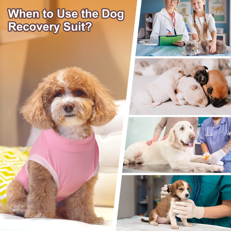 SAWMONG 2 Pack Recovery Suit for Dogs After Surgery, Dog Recovery Suit Dog Spay Surgical Suit for Female Dogs, Dog Onesie Body Suit for Surgery Male Substitute Dog E-Collar Purple Pink (2 Pcs) Medium - BeesActive Australia