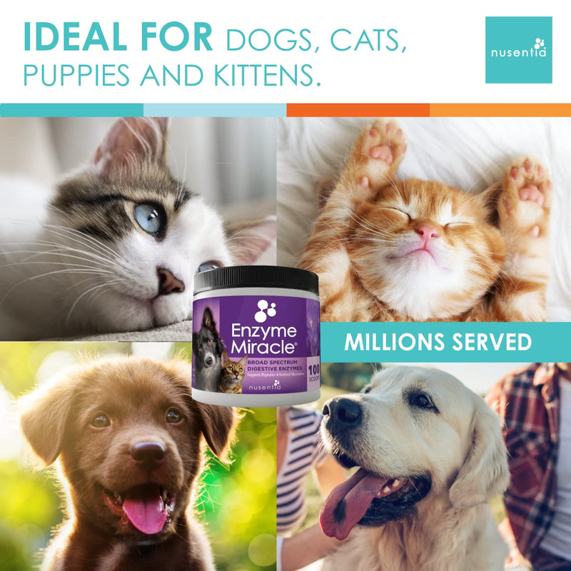 Enzymes for Cats & Dogs : Enzyme Miracle® (100 Servings) : for Digestive Stress, Pancreatic Concerns, and Healthy Weight Management. - BeesActive Australia
