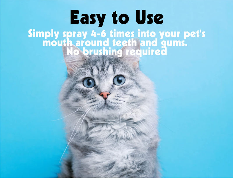 Petkin Plaque Spray, Cool Mint, 4 Fl Oz – Cleans Teeth & Gums, Removes Plaque & Tartar, Freshens Breath & Whitens Teeth with Baking Soda - Ideal Cat & Dog Dental Spray with No Brushing or Rinsing - BeesActive Australia