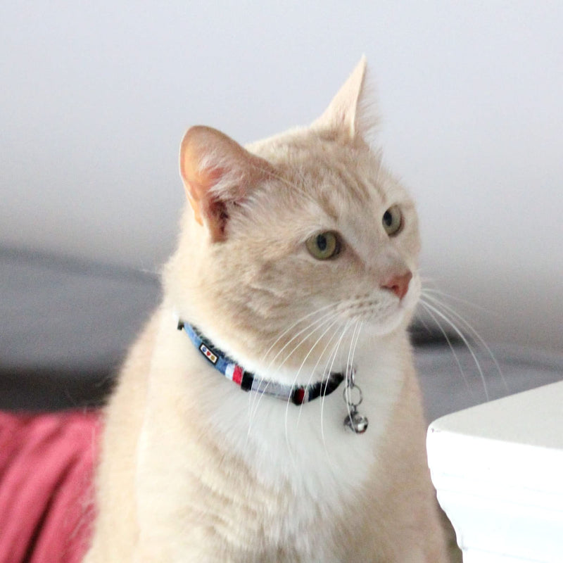 Pawtitas Pet Multicolor Cat Collar Safety Buckle Removable Bell Cat Collar Kitten Collar Cat Collar Blue / White / Teal / Yellow - BeesActive Australia
