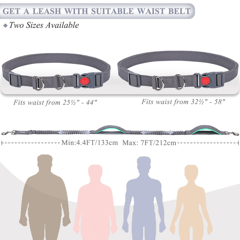 VIVAGLORY Hands Free Dog Leash with Dual Advanced Anti-Shock Bungees and Padded Handles, Reflective Waist Running Leash with Adjustable Belt for Training Jogging for Medium Large Dogs Fits waist 25½"~44" Grey/Turquoise - BeesActive Australia
