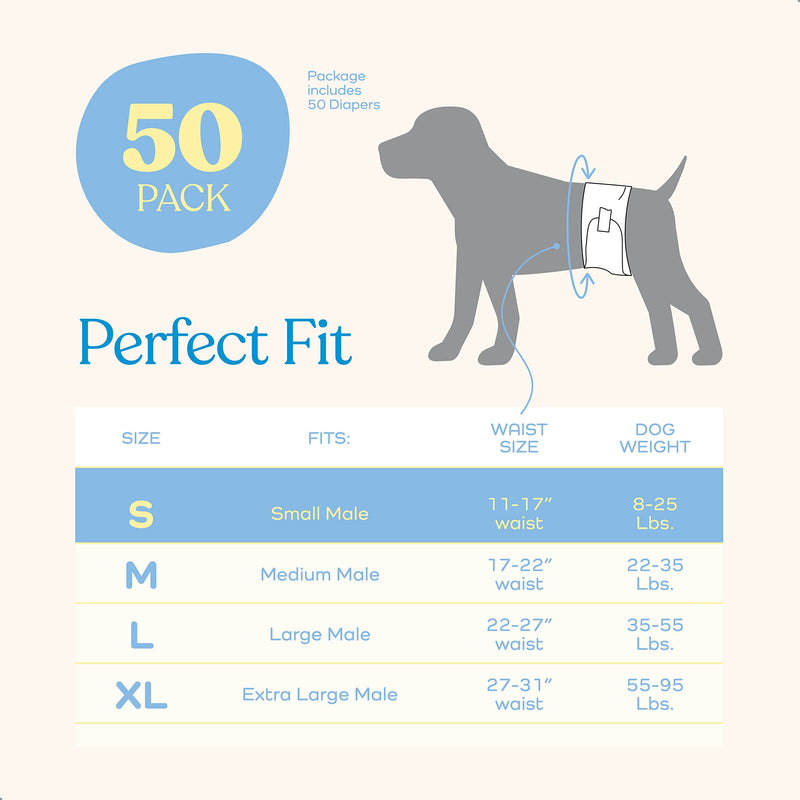 Comfortable Male Dog Diapers - Super Absorbent Disposable Male Dog Wraps- FlashDry Gel Technology, Wetness Indicator Doggie Diapers- Leakproof Belly Wraps for Incontinence, Excitable Urination Small 24.0 - BeesActive Australia