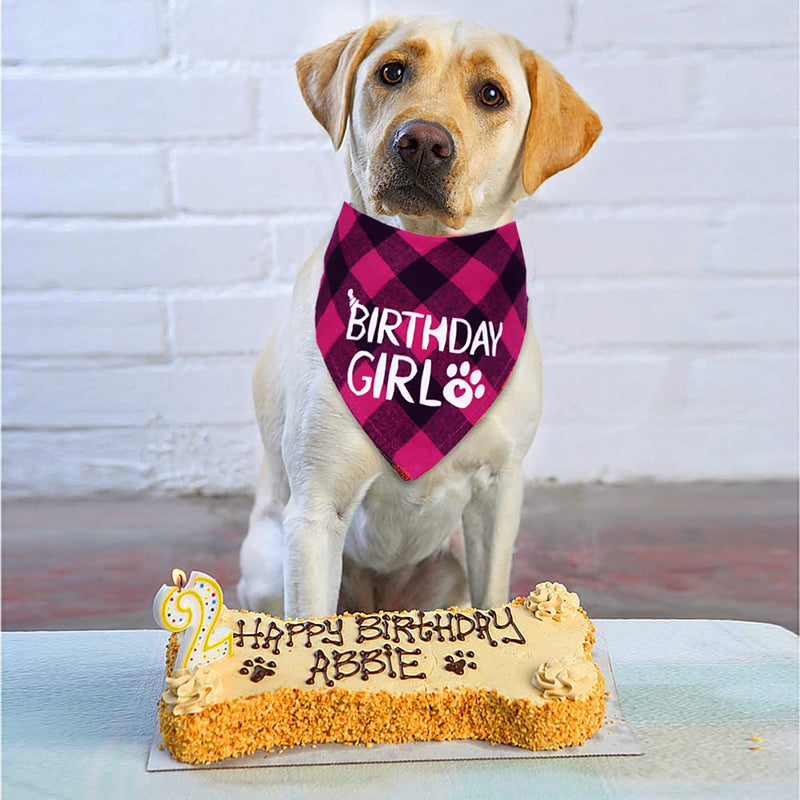 STMK Dog Birthday Bandana, Dog Birthday Girl Plaid Bandana Triangle Scarf for Medium Large Dog Birthday Supplies - BeesActive Australia