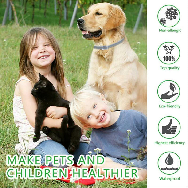 Pet combs, electric pet combs, cat combs/dog combs, grooming combs can effectively remove floating hair, suitable for long-haired and short-haired babies such as cats/dogs/rabbits/totoro - BeesActive Australia