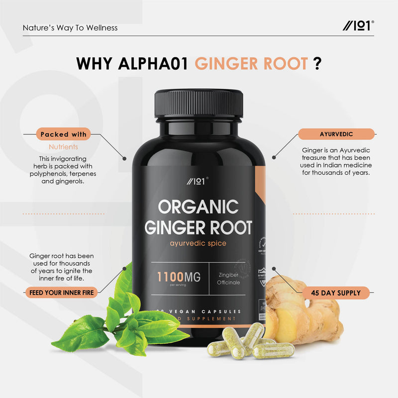 Organic Ginger Root Capsules - 1100mg - Zingiber Officinale - Non-GMO, Gluten Free, 90 Vegan Caps 1 - BeesActive Australia