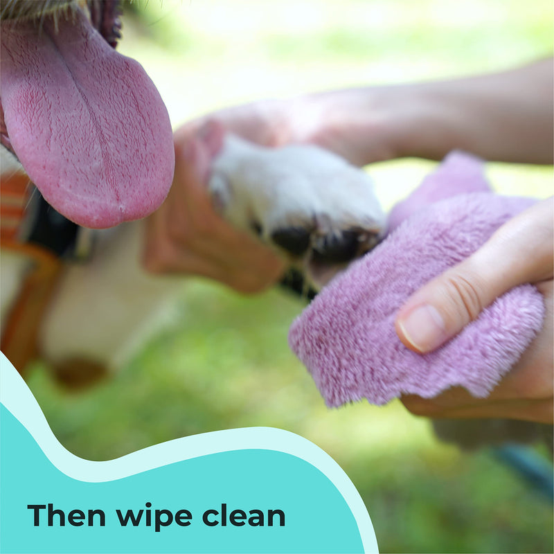 GENTLE CREATURES Magic Foam - Sulfate-Free, Waterless Shampoo Paw Cleaner for Dogs, Cats, Pets - Dry Shampoo, Foot Cleaner Brush - with Orange, Odor Control Wash - Good for Puppy, Sensitive Skin - BeesActive Australia