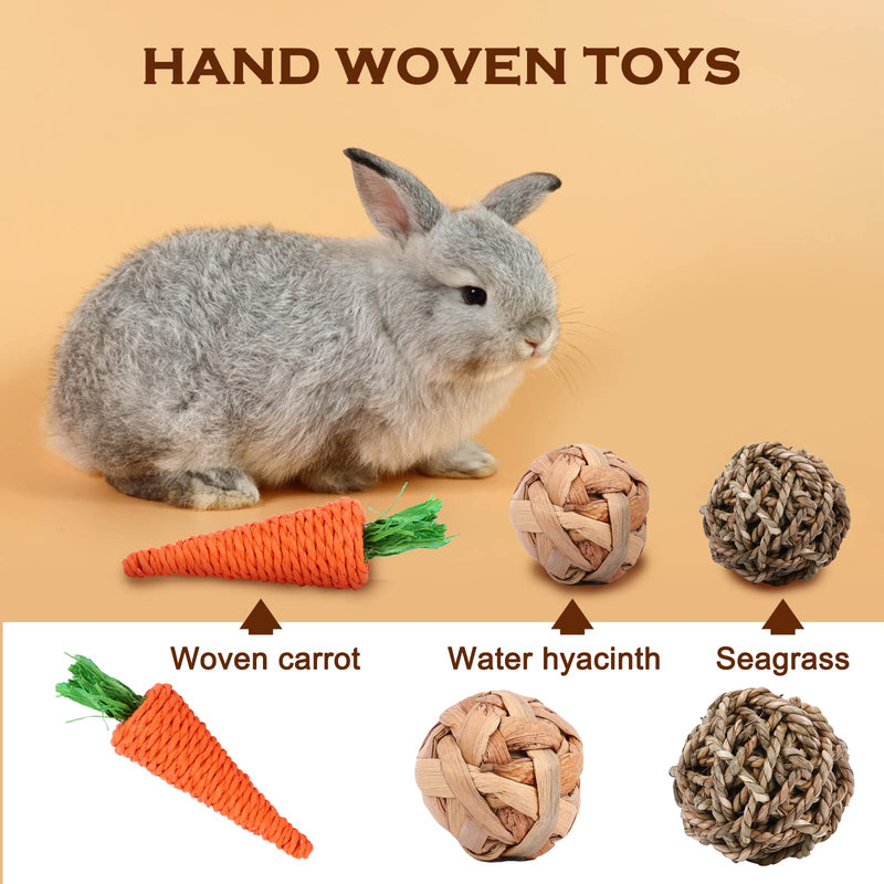 VESPRO Rabbit Toys Bunny Toys for Rabbits Hamster Toys Guinea Pig Toys Natural Timothy Hay Chew Treats and Balls for Rabbit, Bunny, Chinchilla, Guinea Pig, Hamster, Bunny Teeth Care Variety Flavor Set-1 - BeesActive Australia