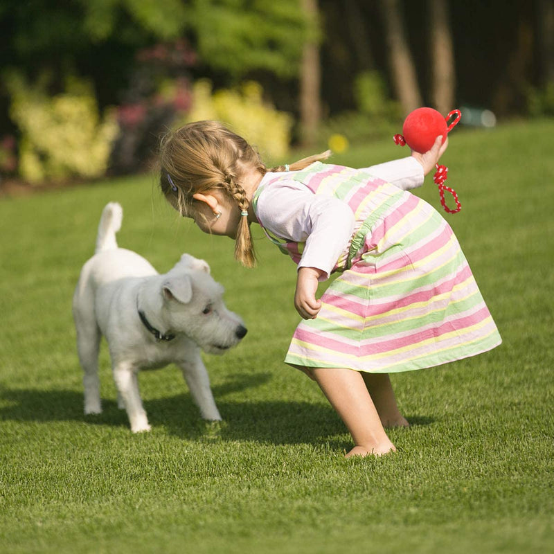 EDMISU Dog Leash Toys with Large Balls 2 Pack Dog Chew Toys Puppy Teething Toys Training Balls with Leash Exercise Toys for Large Medium Dogs - BeesActive Australia