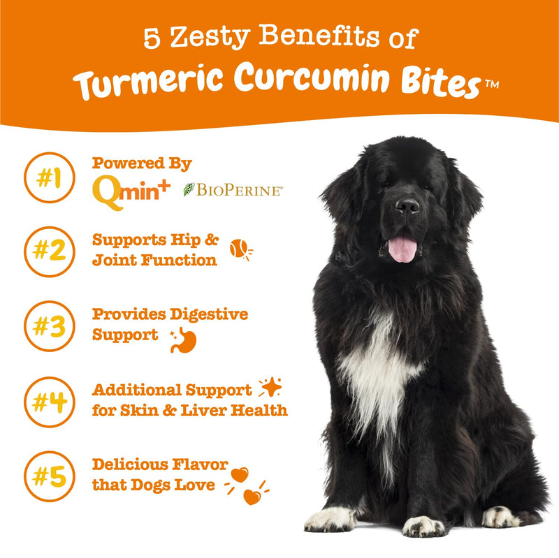 Zesty Paws Turmeric Curcumin for Dogs - for Hip & Joint Mobility Supports Canine Digestive Cardiovascular & Liver Health Coconut Oil for Skin Health with 95% Curcuminoids + BioPerine Duck 90 Count - BeesActive Australia