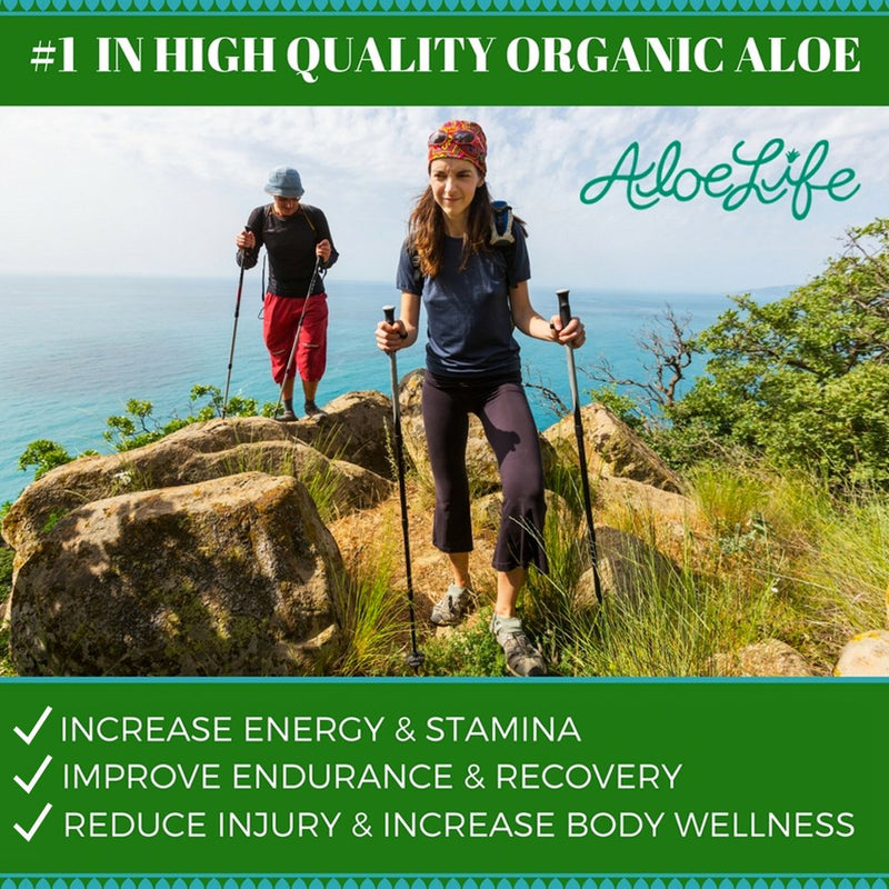 Aloe Life - Skin Gel and Herbs, 99 % Certified Organic, Whole Leaf Aloe Vera Plus Vitamin A, C, E and Herbs, Whole Leaf Aloe Vera is Concentrated to Give the Best Results (Unscented, 8 Ounces) 8 Ounce (Pack of 1) - BeesActive Australia