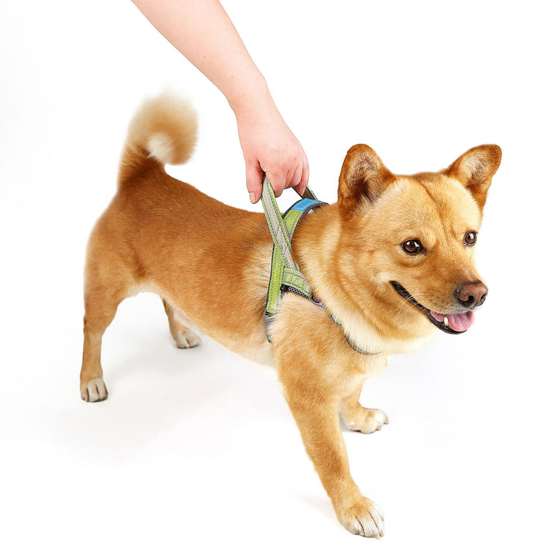 No Pull Dog Harness Adjustable Reflective Breathable Vest Harness Puppy Vest Step-in Dog Vest Soft Mesh Padded Pet Harness with Easy Control Handle for Small to Medium Dogs Yellow XS - BeesActive Australia