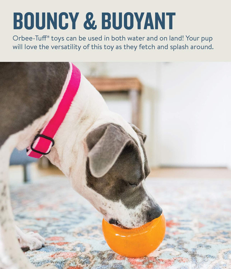 Planet Dog Orbee-Tuff Snoop Interactive Treat Dispensing Dog Toy, Large, Orange - BeesActive Australia