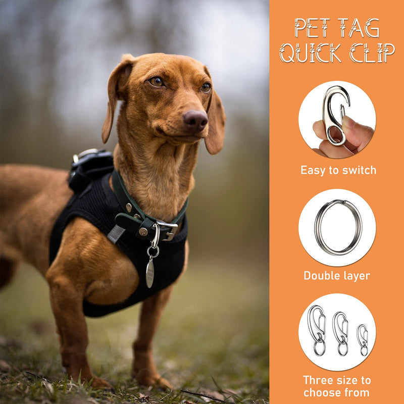 18 Pieces Leash Dog Tag Clip Pet ID Tag Pet Tag Clip Quick Clip Combos Durable Dog ID Tag with Rings, Stainless Steel Quick Clips Pet ID Tag Holder for Dog Cat (Silver, 1.9 Inch，1.3 Inch，0.8 Inch) - BeesActive Australia