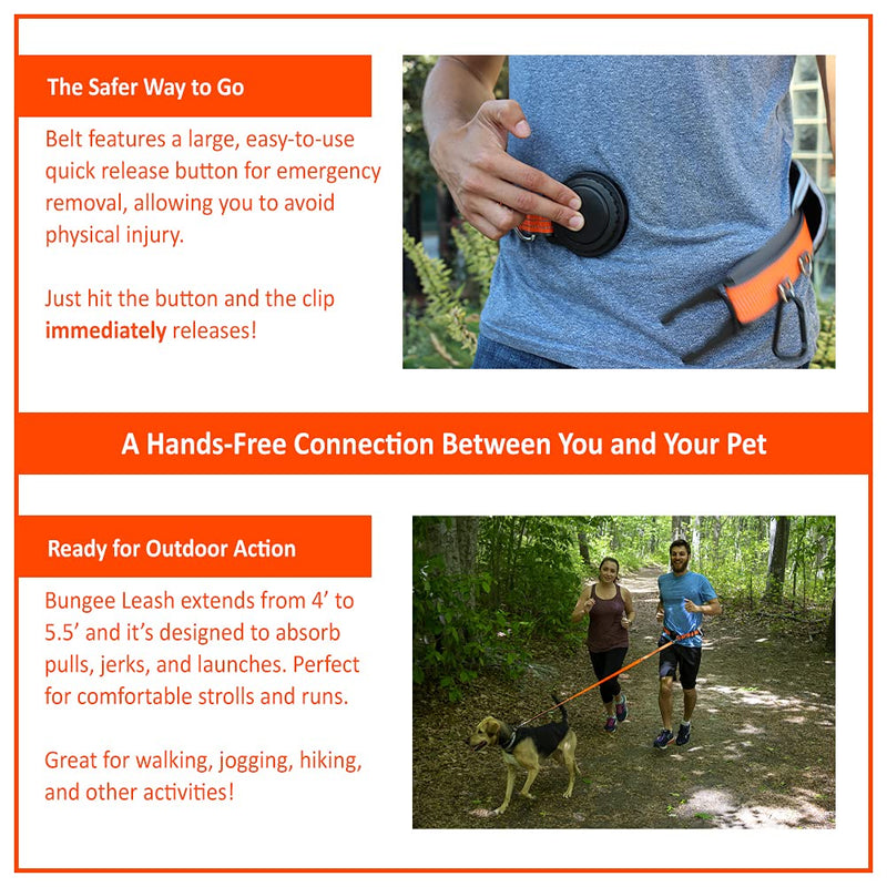 Penn-Plax Quick-Release Adventure Belt and Bungee Leash Combo – A Hands-Free Connection with Your Dog – Great for Walking, Jogging, Hiking, and Other Outdoor Activities - BeesActive Australia