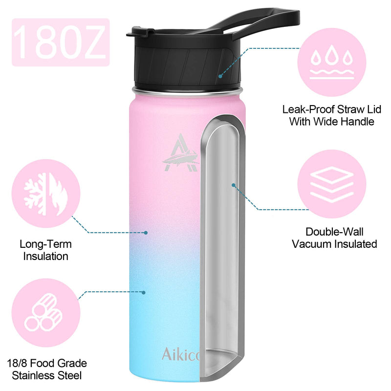 Stainless Steel Water Bottle with Straw Lid, 18oz Vacuum Insulated Sports Water Bottle, Wide Mouth Thermos Mug with Wide Handle Straw Lid and Cleaning Brush, Fantasy - BeesActive Australia