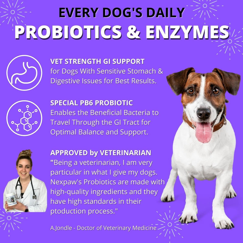 Probiotics for Dogs - Relief Diarrhea, Gas, Bloating, Constipation, Upset Stomach - Digestive Health Support - Soft Chews for Dog & Puppies - BeesActive Australia