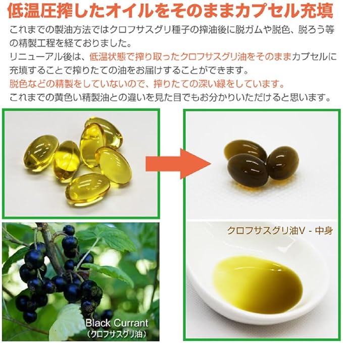 Black Currant Oil V Black Currant Oil 250mg 90 Capsules Herbal Supplement NORA ORIGINALS - BeesActive Australia