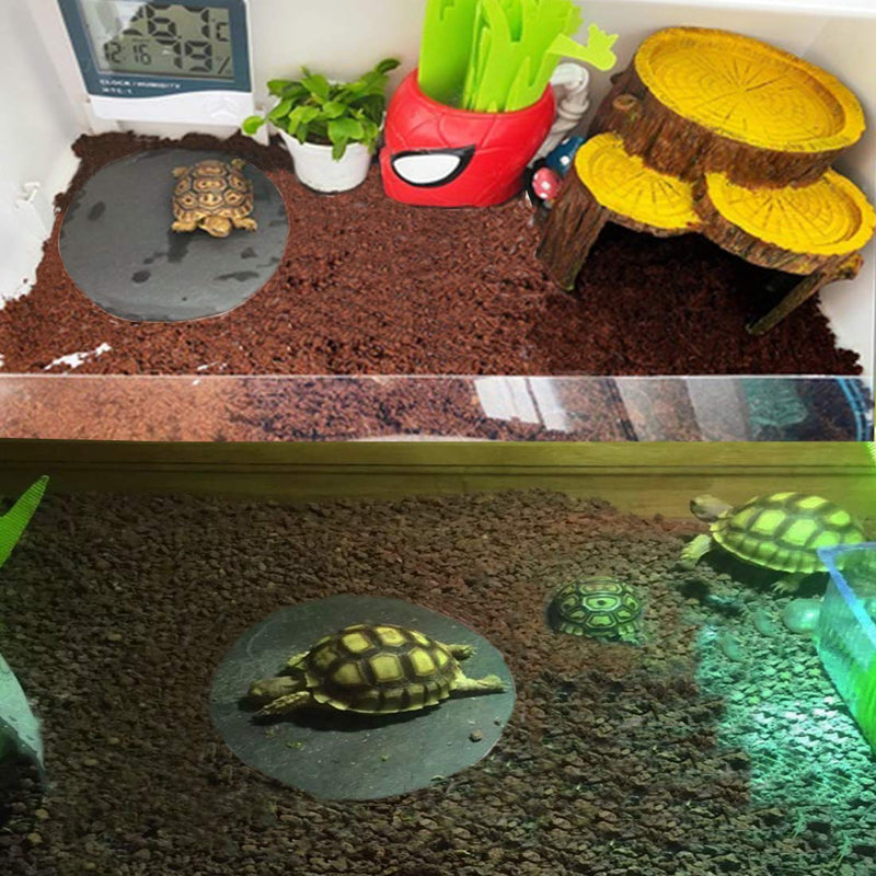Tfwadmx Reptile Basking Platform,Tortoise Rock Slate Plate Feeding Platform Food Bowl Dish Turtle Bathing Rock Resting Terrace for Lizard Bearded Dragon Chameleon Gecko Snake Frog Newt - BeesActive Australia