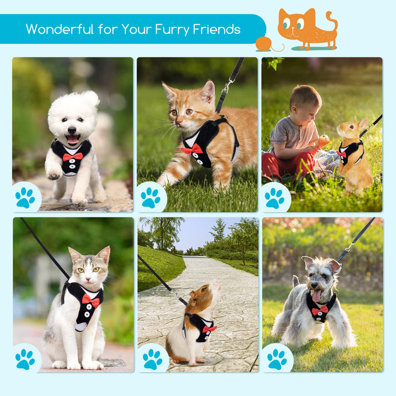 Small Dog Harness, Nobleza Cat Leash and Harness Set with Cute Bowtie & Adjustable Metal Clip, Breathable Air Mesh Walking Harness for Puppies, Kitties, Small Dogs, Cats M (Chest Girth: 14.9-18.1") - BeesActive Australia