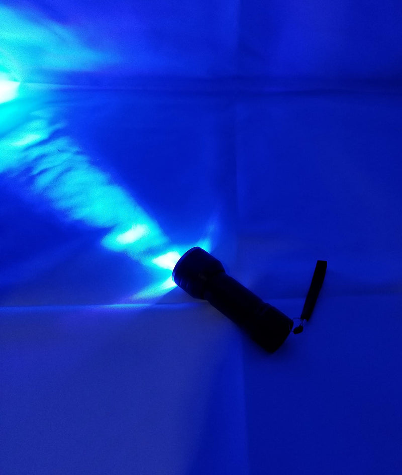 UV Flashlight 21 LED Ultraviolet for Dog Cat Urine, Dry Stains, Bed Bug Detector, Odor Eliminator - BeesActive Australia