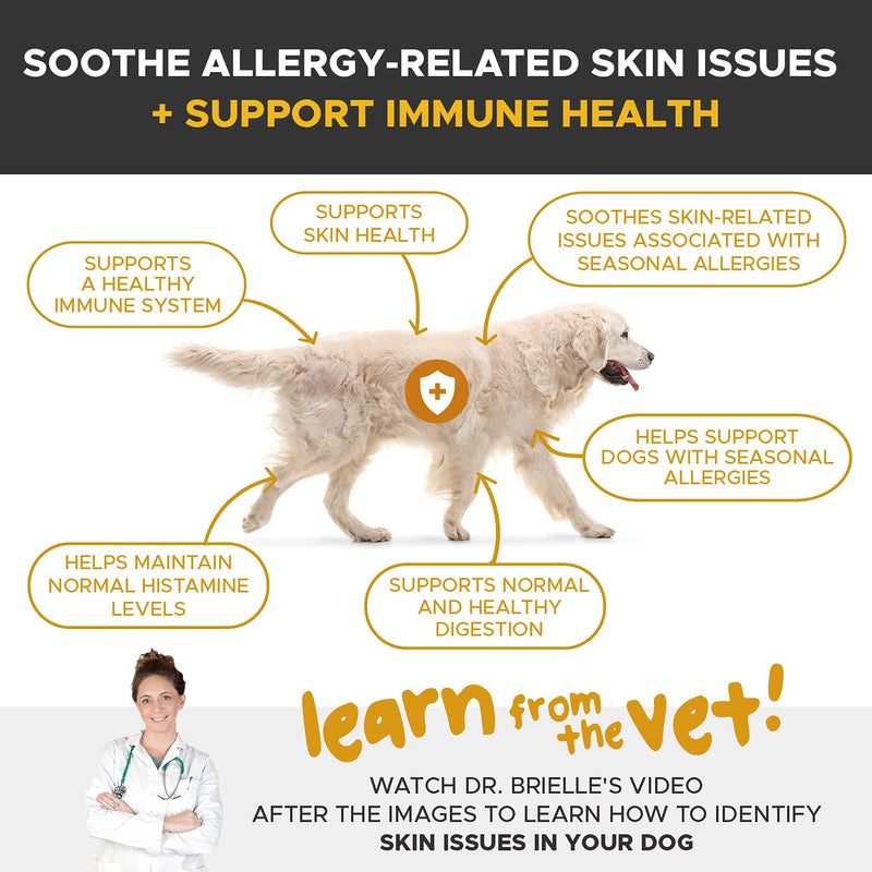 PetHonesty Allergy Skin Health - Fish Oil for Dogs with Omegas, DHAGold, Flaxseed, Probiotics for Itch-Free Skin, Shiny Coats, Helps Reduce Shedding - Soft Chews for Healthy Skin & Coat Salmon - BeesActive Australia