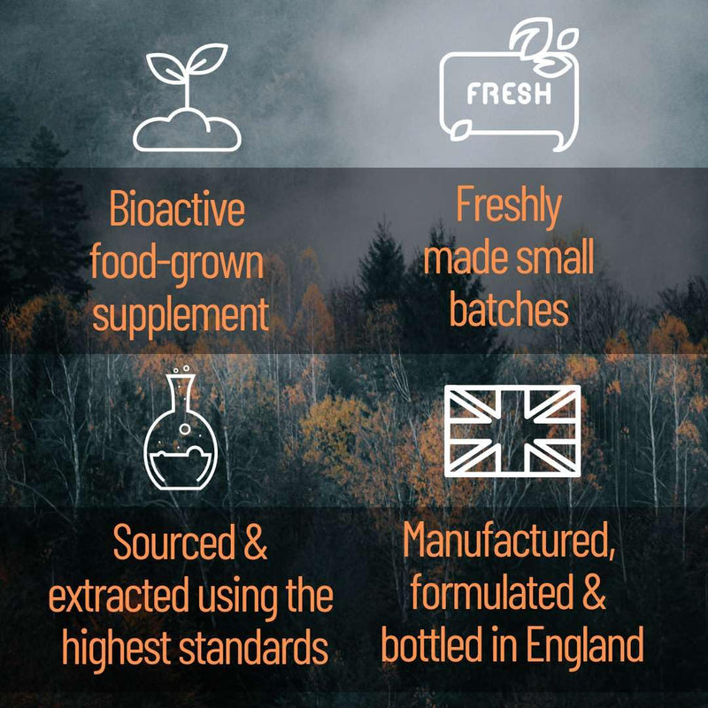 Lions Mane Supplement - High Strength Liquid Lions Mane 24000mg - Made in UK - Pure Alcohol Free - BeesActive Australia