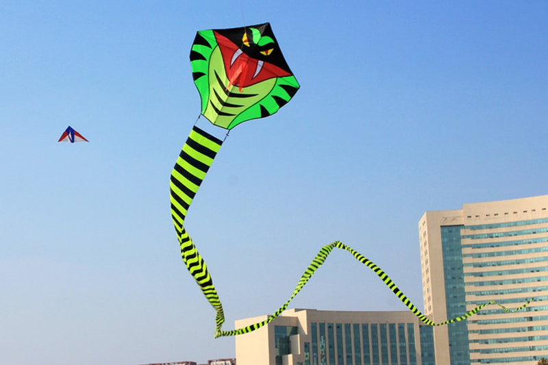 [AUSTRALIA] - Hengda kite 15m Large Power Snake Kites with Flying Line Outdoor Fun Sports Kite Cobra 
