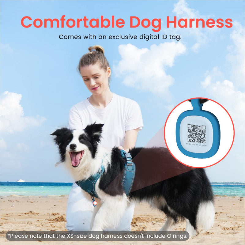 Pawaii Dog Harness, No-Pull Pet Harness with Pet ID Tag, No Choke Front Lead Dog Harness, Adjustable Soft Padded Pet Vest with Easy Control Handle M (Chest: 22"-27" ) Teal Green - BeesActive Australia