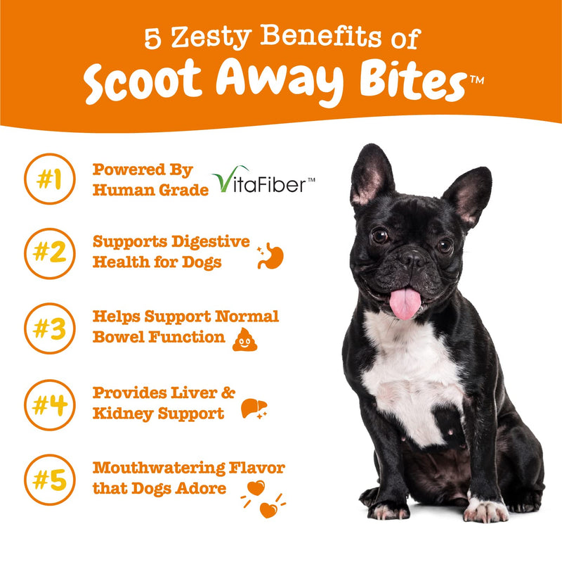 Zesty Paws Scoot Away Soft Chews for Dogs - with Bromelain Enzymes, Vita Fiber & Dandelion Root – for Gut Health & Support for Normal Bowel Movement Chicken 90 Count - BeesActive Australia