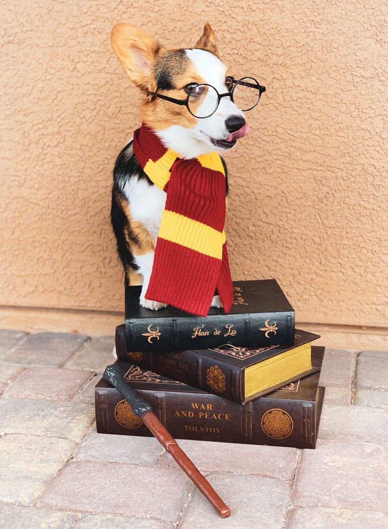ComfyCamper Red and Yellow Striped Scarf for Dog Costumes, Clothes for Dogs Pets and Cats Large - BeesActive Australia