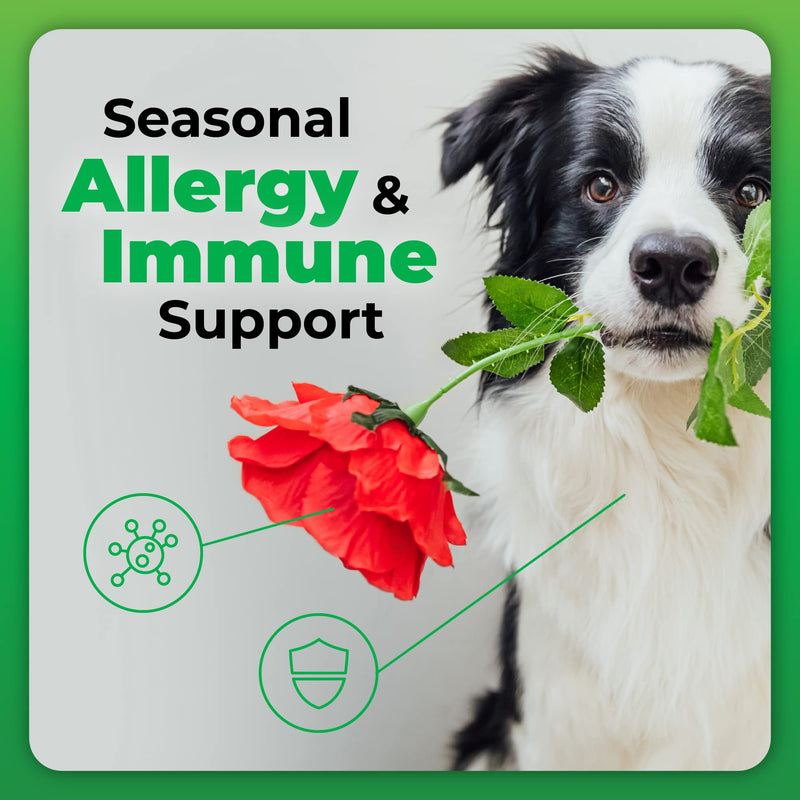 VETRISCIENCE Derma Strength Allergy, Immunity and Itchy Skin Relief Supplement for Dogs with Omega 3 6 9, 70 Yummy Soft Chews - Supports Healthy Skin, Coat Shine and Seasonal Dog Allergies - BeesActive Australia